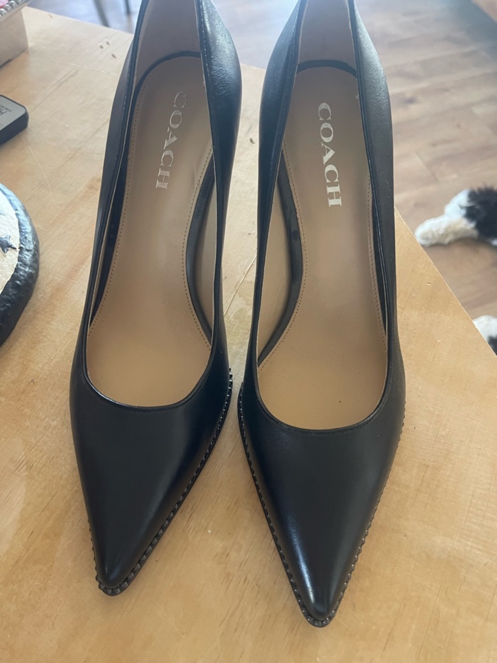 COACH Black Leather Pointed Toe Stiletto Pumps